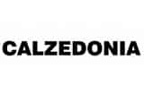 Calzedonia Dubai logo