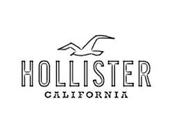 Hollister California DSF Sale