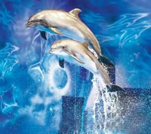 Dubai Dolphinarium