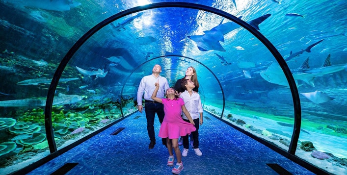The National Aquarium Abu Dhabi Offers