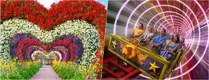 Motiongate + Miracle Garden