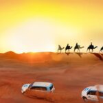 Desert Safaris for less than AED 100