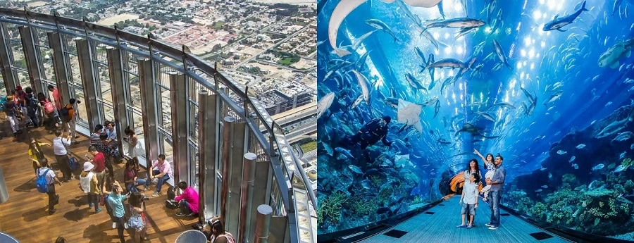 Dubai Aquarium and Underwater Zoo Offers
