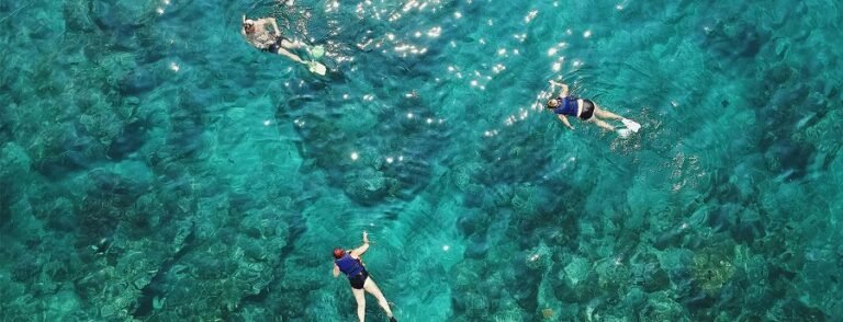 Dive & Snorkel Trips