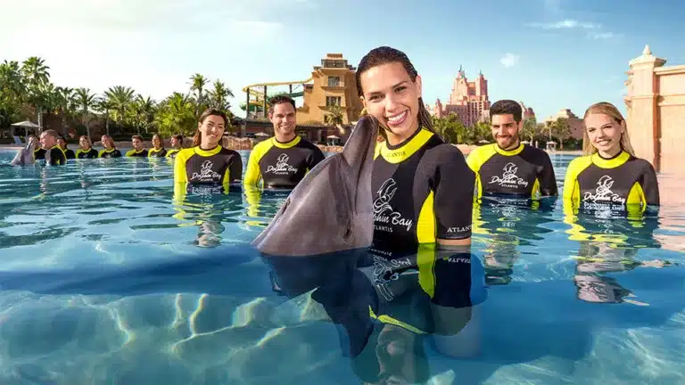 Dolphin Bay Experiences at Atlantis The Palm