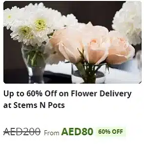 Stems N Pots flower delivery offer