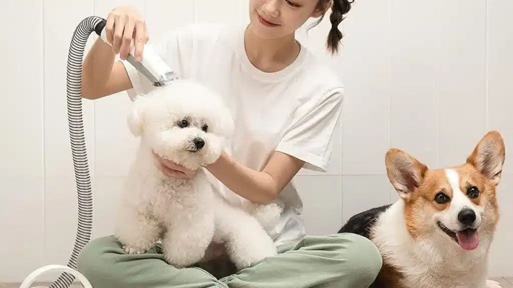 Pet Grooming deals