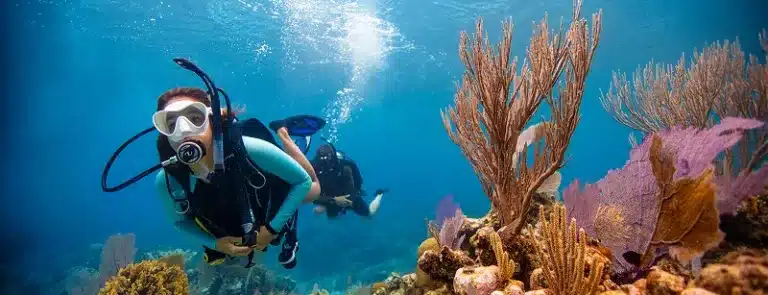 Snorkeling and Scuba diving deals in Fujairah and Musandam
