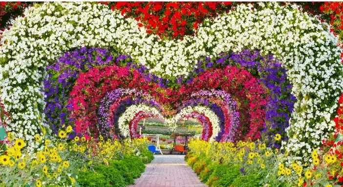 Miracle Garden Offers