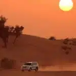 Desert Safari Experience- Luxury Tours (Up to 70% Off)