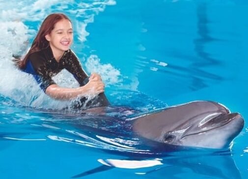 Dubai Dolphinarium Swim with Dolphins