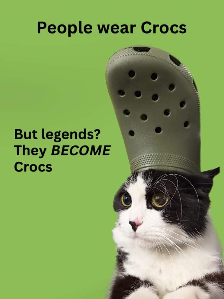 crocs
