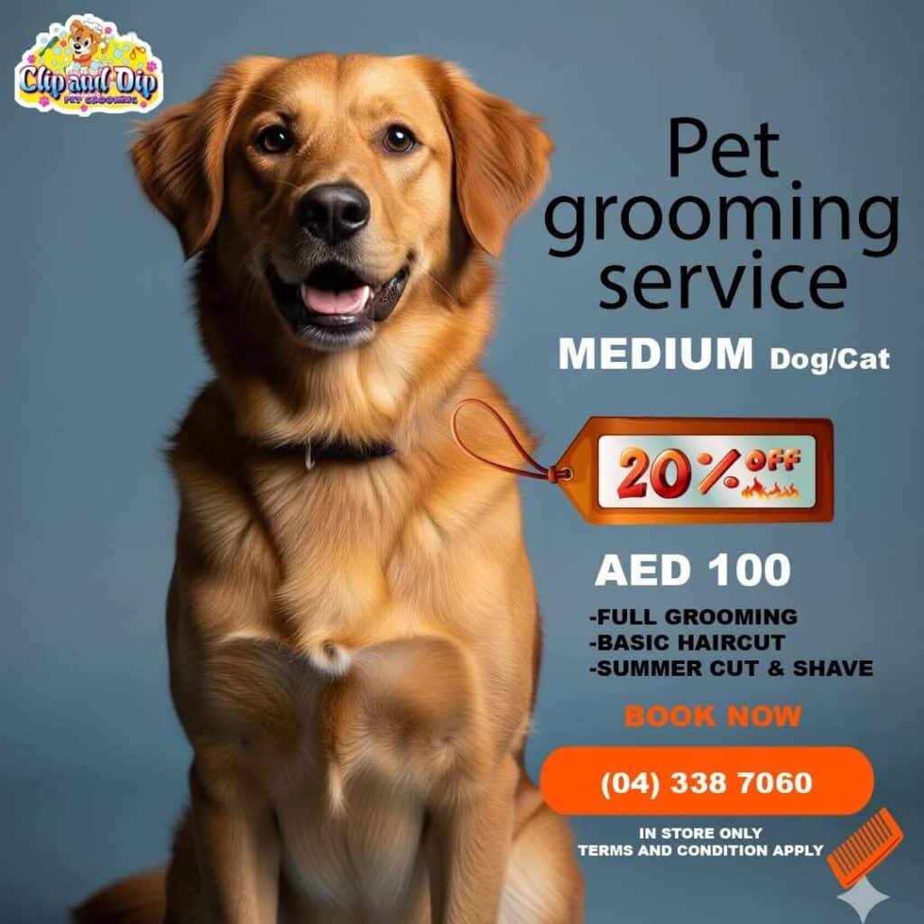 Clip and Dip Pet Store