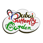 Butterfly Garden