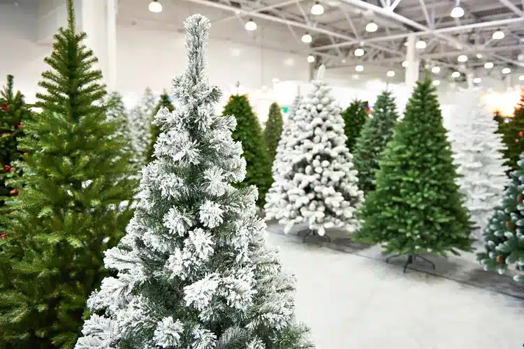 christmas trees