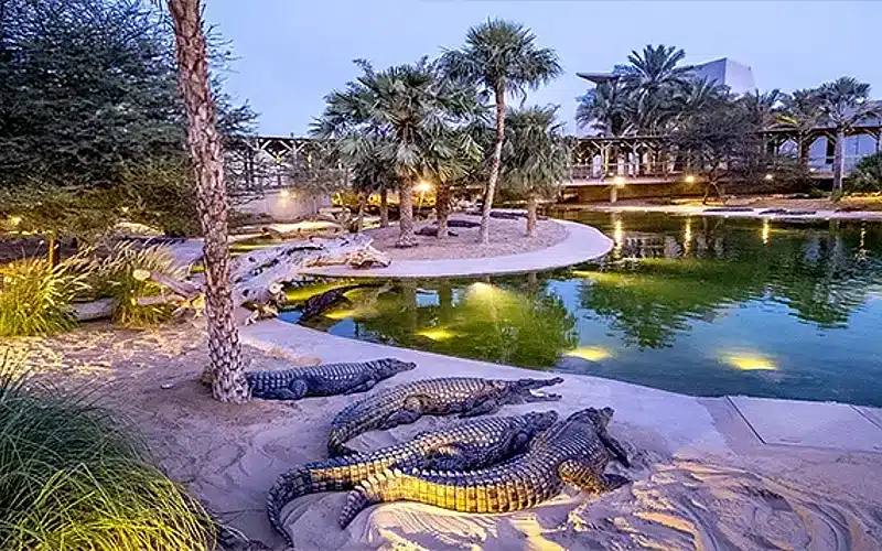 dubai crocodile park