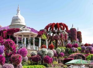 dubai miracle garden