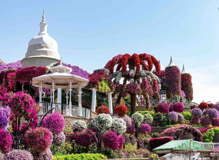 Dubai Miracle Garden Announces 2 Weeks FREE Entry