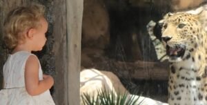 Emirates Park zoo
