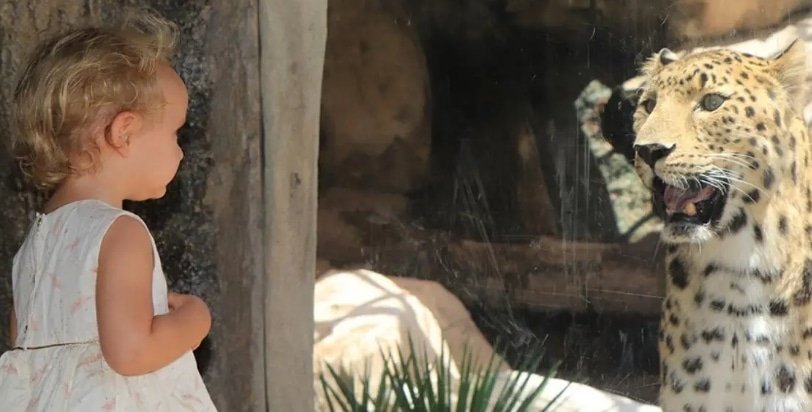 Emirates Park zoo