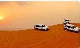 Lahbab Red Dunes Desert Safari with Pick and Drop
