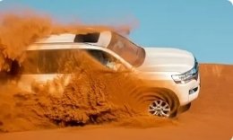 Desert Safari with BBQ Dinner by Lion Tourism