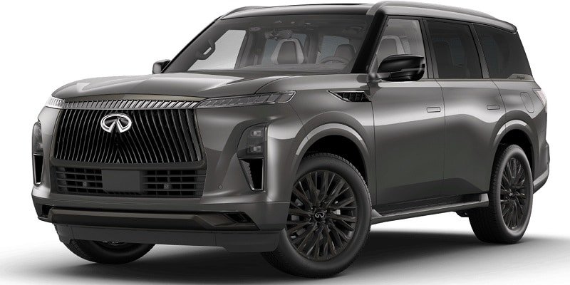 QX80 Profile Image 1