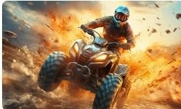 VIP Desert Safari by Desert Vibes Tourism