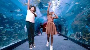 dubai aquarium and under water zoo