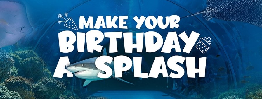 dubai aquarium