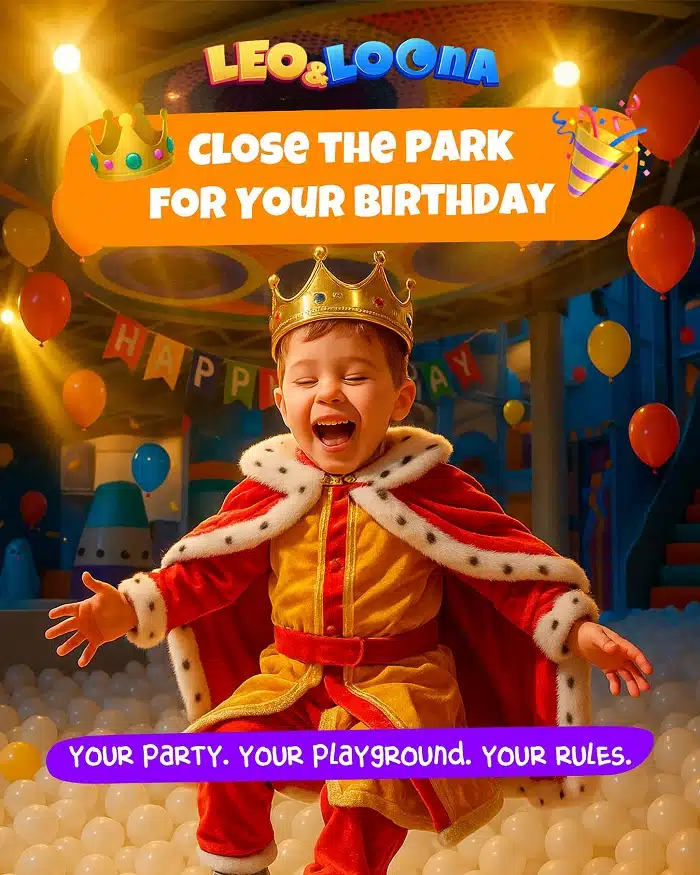 leo loona bday party