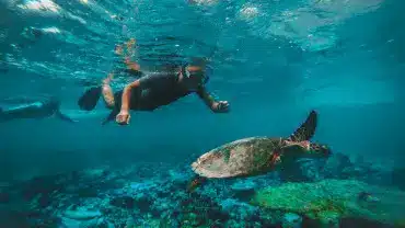 Dive and Snorkel Trips in Fujairah
