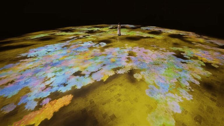 TeamLab Phenomena Abu Dhabi Offers